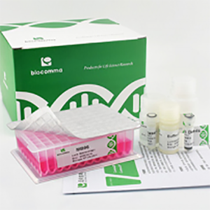 1582275531 预分装病毒DNA/RNA提取试剂盒(磁珠法)
