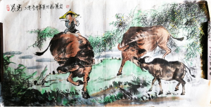 晨光