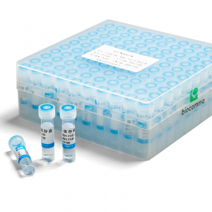 HPV-DNA检测样本采集