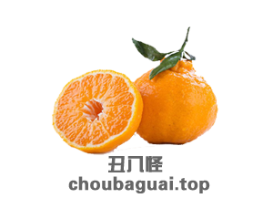 choubaguai choubaguai.top