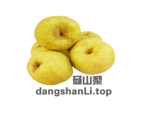 dangshanLi dangshanLi.top