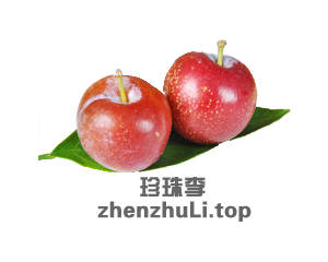 zhenzhuLi zhenzhuLi.top