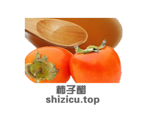 shizicu shizicu.top