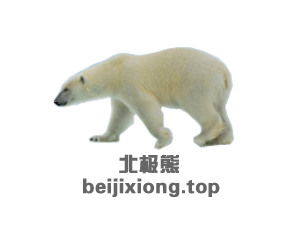 beijixiong beijixiong.top