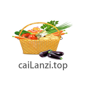 cailanzi caiLanzi.top