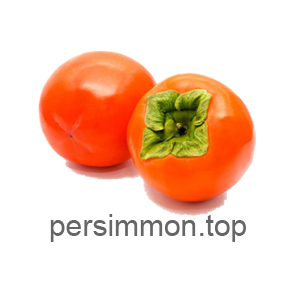 persimmontop persimmon.top
