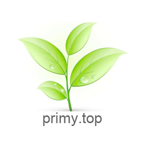 primytop primy.top