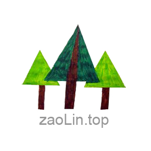 zaoLintou zaoLin.top