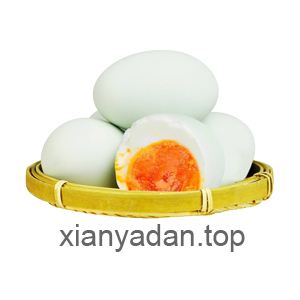 xianyadan xianyadan.top
