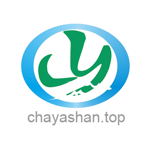 chayashantop chayashan.top