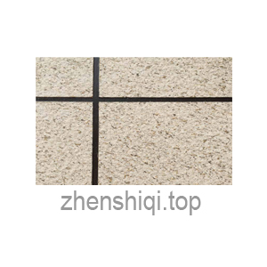 zhenshiqitop zhenshiqi.top