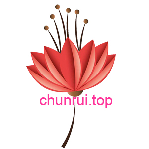 chunruitop chunrui.top