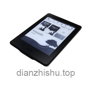 dianzhishutop dianzhishu.top