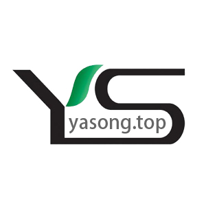 yasongtop yasong.top