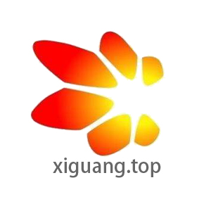 xiguangtop xiguang.top